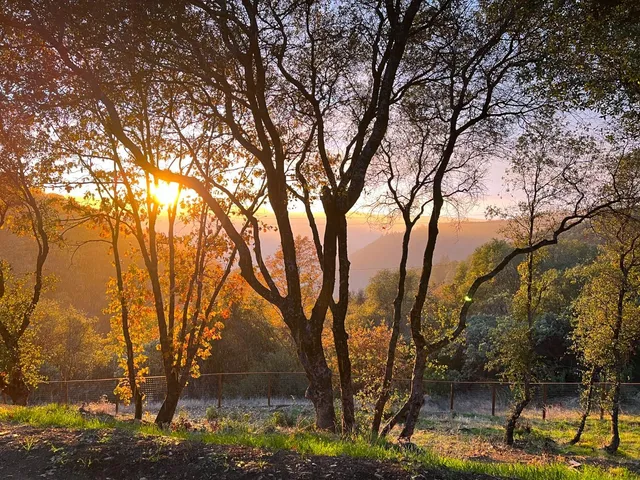 $865,000 | 1072 Champagne Lane, Placerville, CA 95667