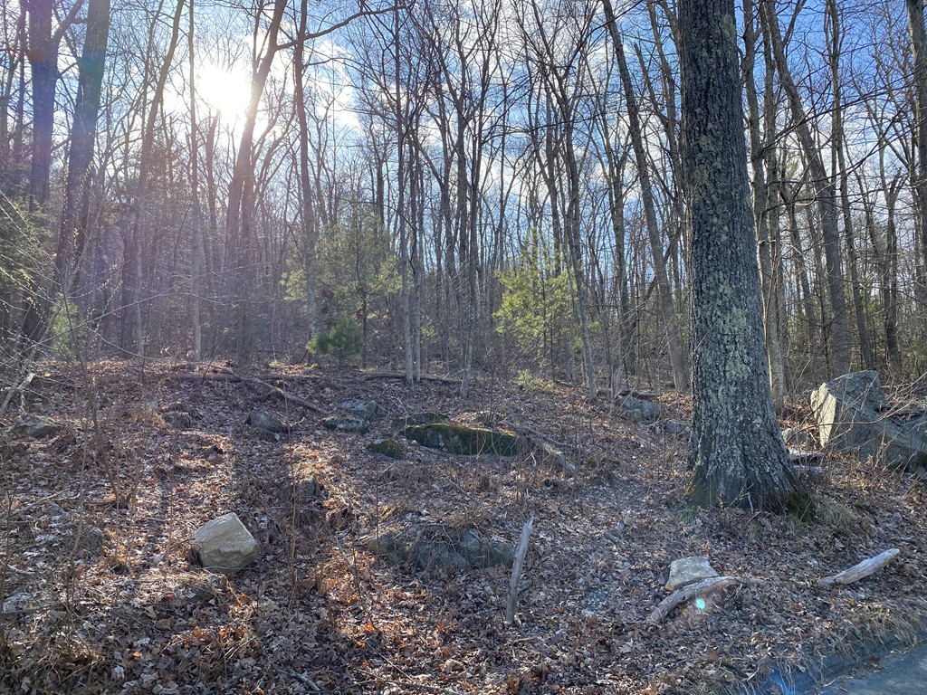 Lot 2 Chapin Road Hampden, MA 01036 - Photo 1 of 4 Gallery Image 1