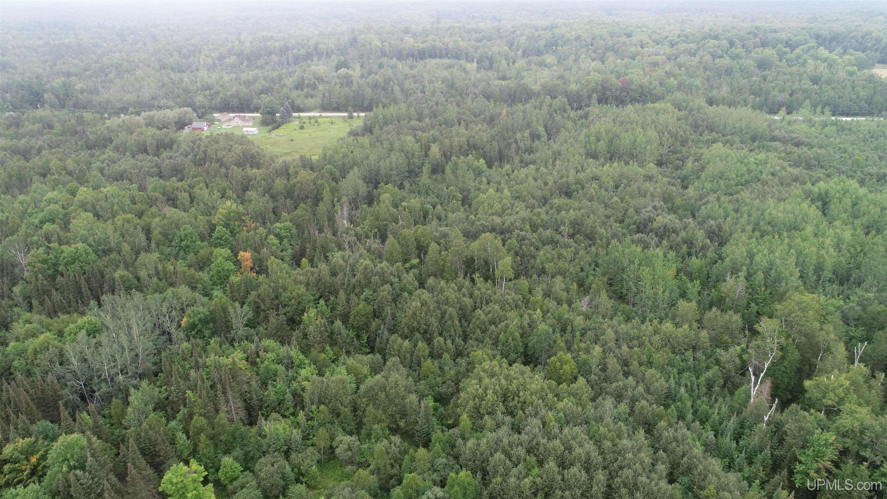 5759 North Kendall Road Manistique, MI 49854 - Photo 52 of 63 Gallery Image 52