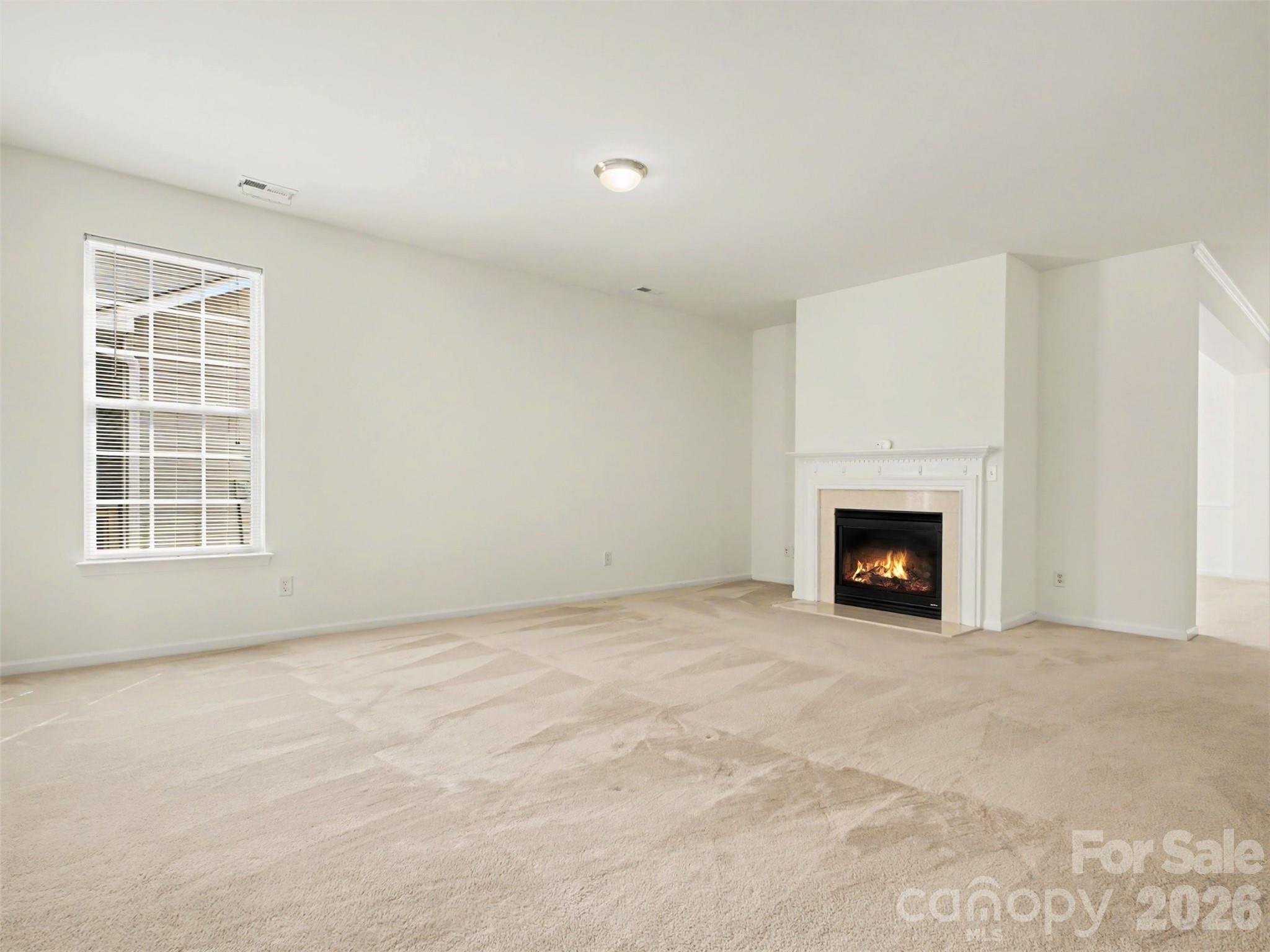 834 Platinum Drive Fort Mill, SC 29708 - Photo 7 of 47