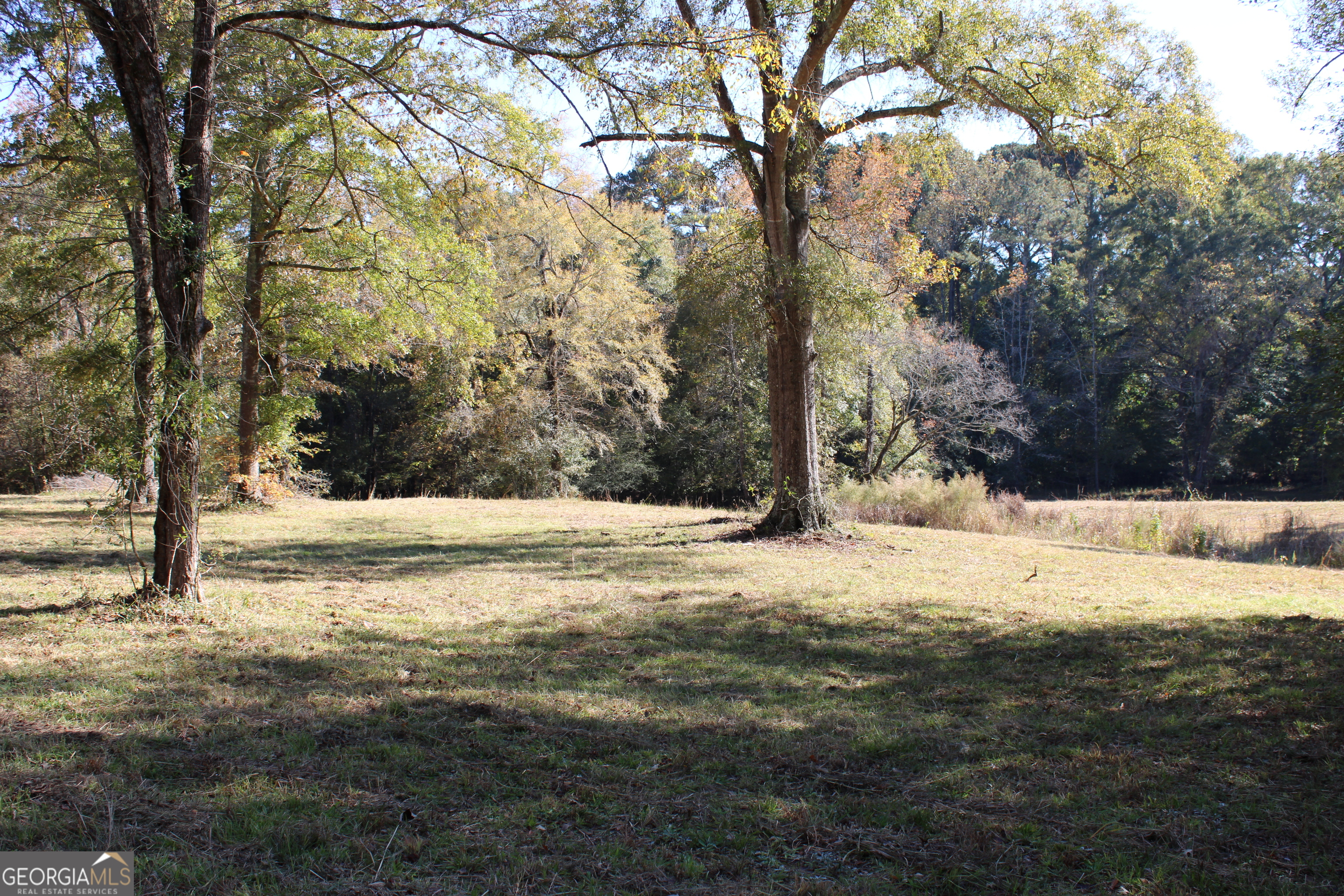 1701 Blue Springs Road Buckhead, GA 30625 - Photo 19 of 24 a view of ocean view with a tree