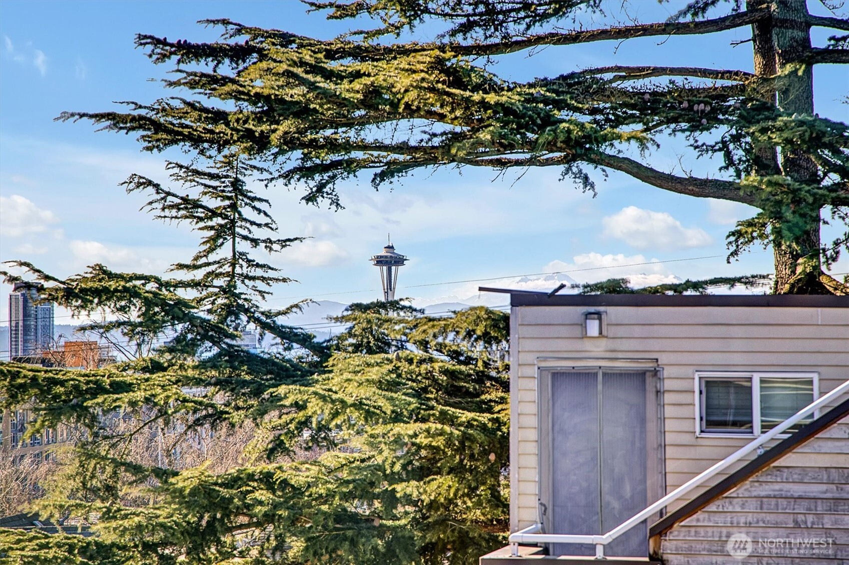 1227 East Roy Street Seattle, WA 98102 - Photo 27 of 35 a picture of a tree