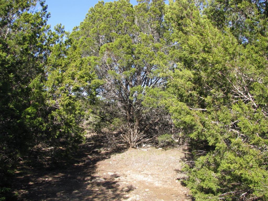 Lot 3-ph County Road 421 Evant, TX 76525 - Photo 18 of 27