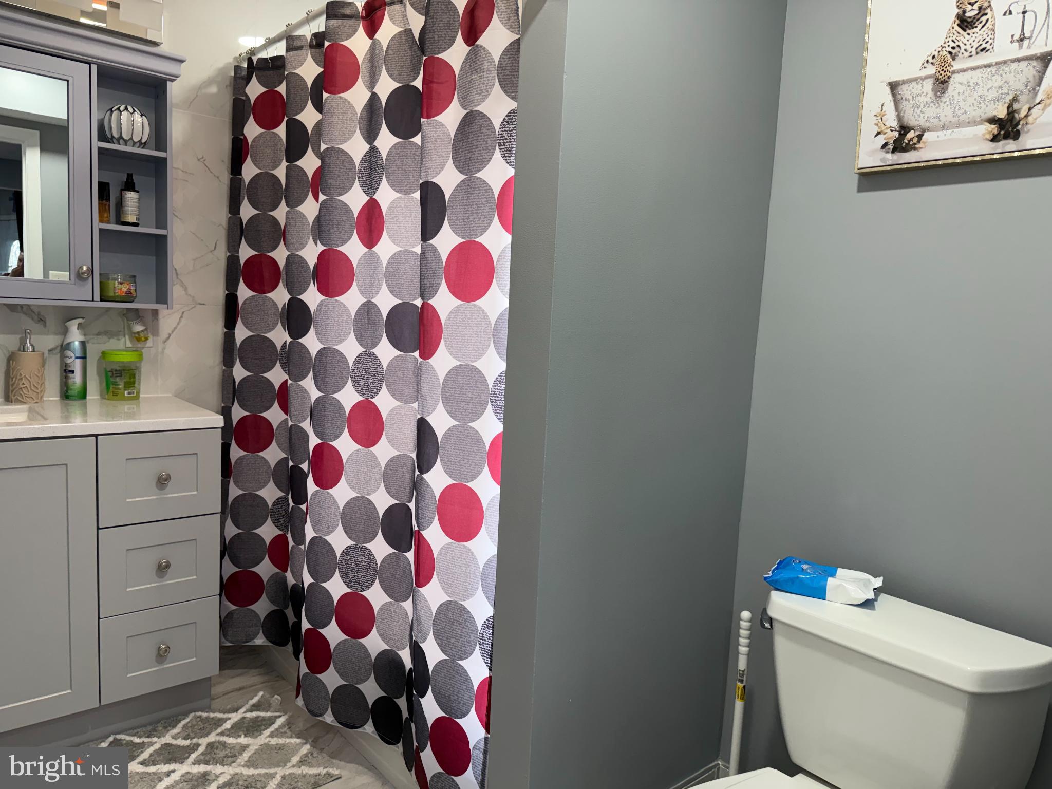 3499 Hillsmere Road Baltimore, MD 21207 - Photo 28 of 50 Modern bathroom with playful decor accents.