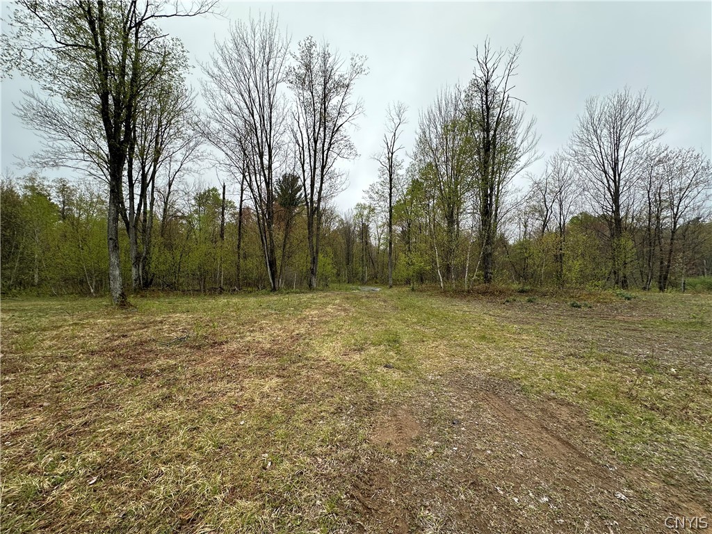 4815 Texas Road Croghan, NY 13619 - Photo 8 of 19