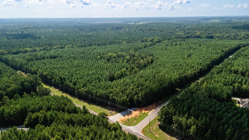 0 Fortune Hole Road East Hamilton, GA 31811 - Photo 2 of 7