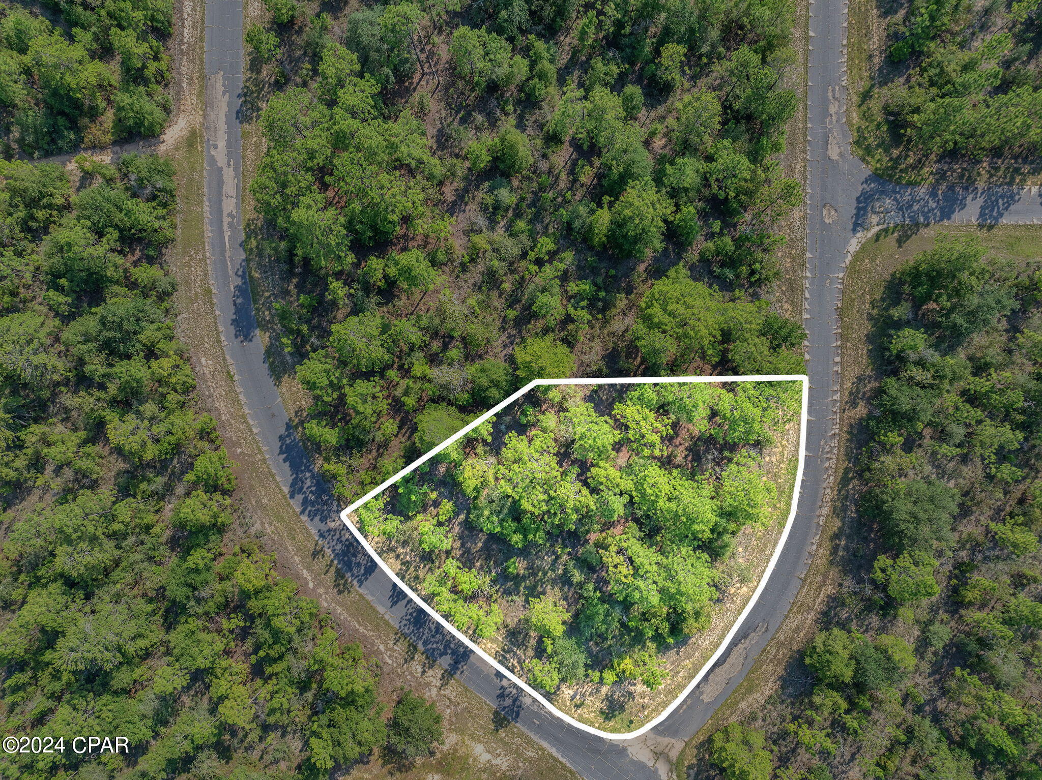 Lot 9 Omega Street Chipley, FL 32428 - Photo 2 of 6