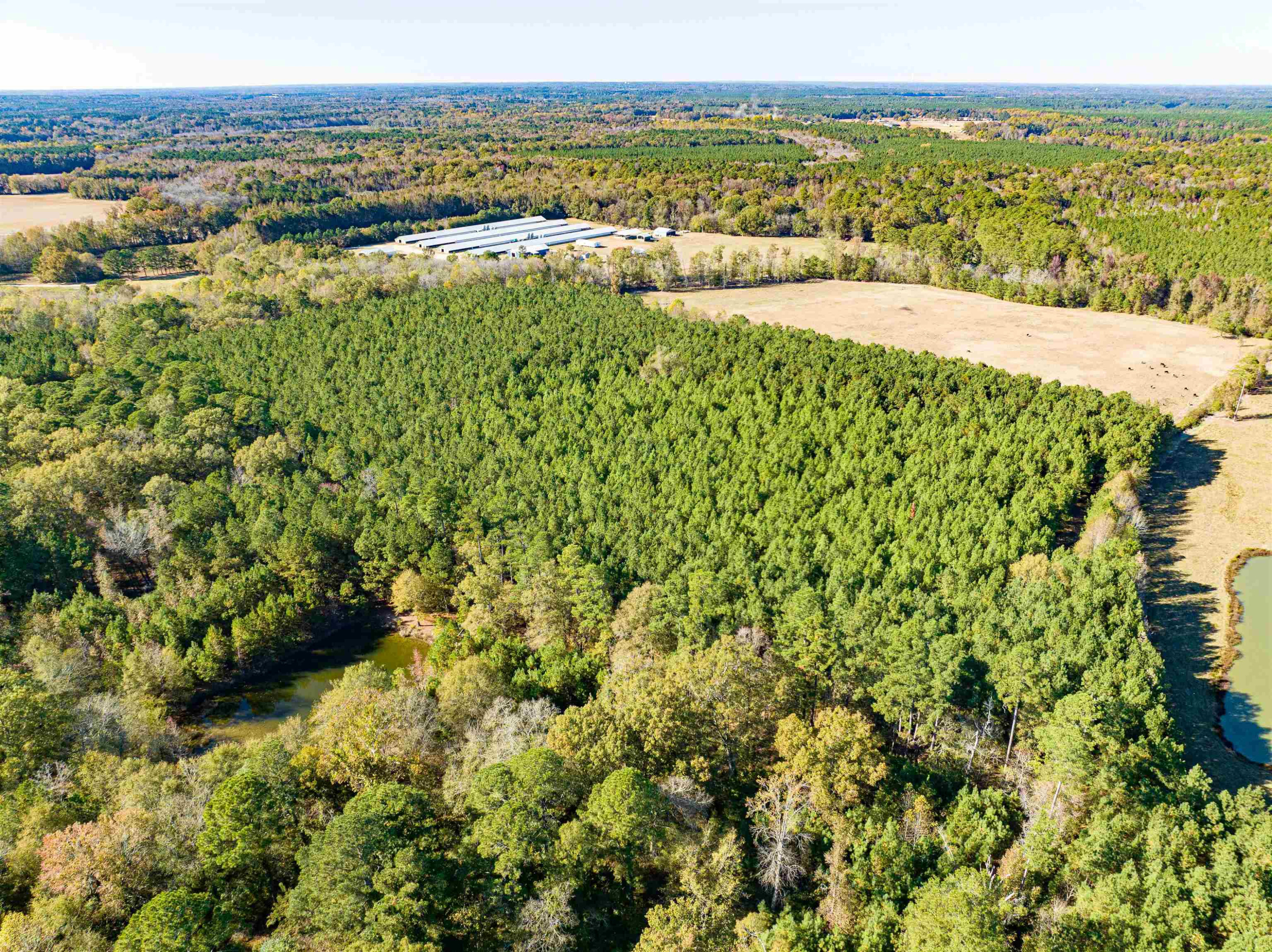 0 Bunnlevel Erwin Road Bunnlevel, NC 28323 - Photo 14 of 28 a view of outdoor space and city view
