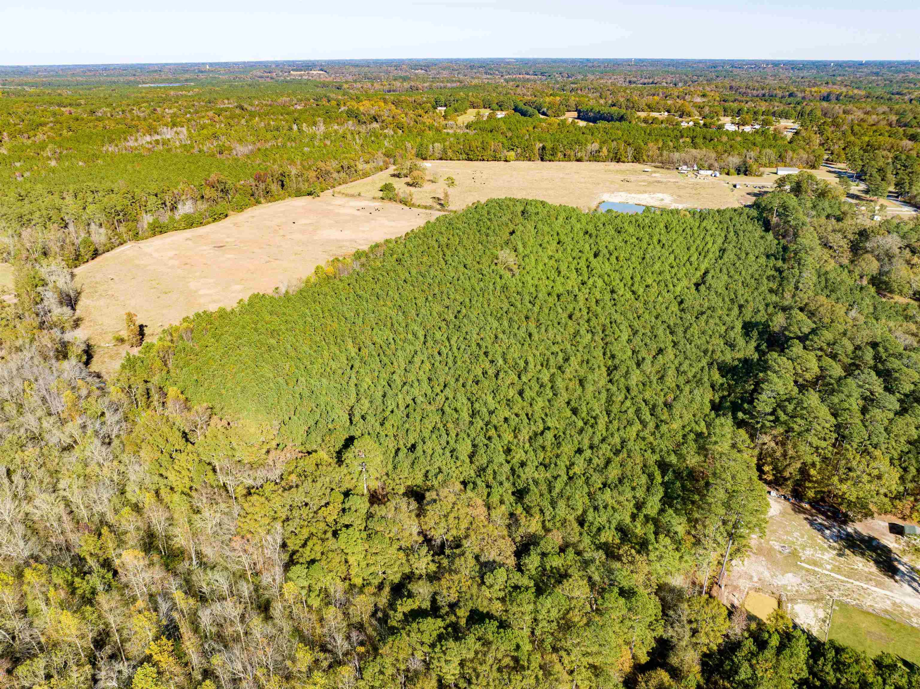 0 Bunnlevel Erwin Road Bunnlevel, NC 28323 - Photo 4 of 28 a view of an ocean from a city