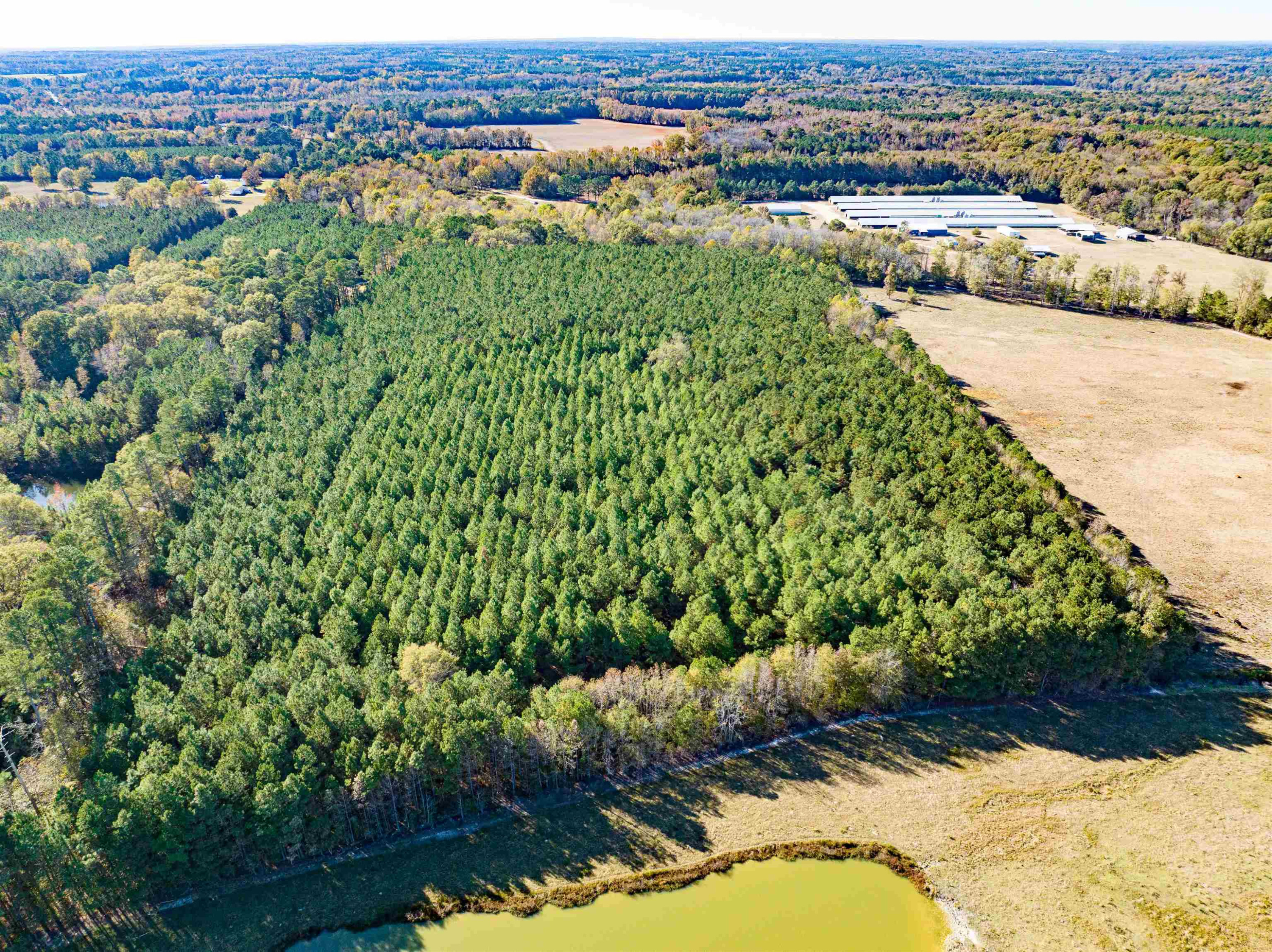 0 Bunnlevel Erwin Road Bunnlevel, NC 28323 - Photo 10 of 28 a view of a city