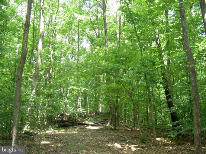 Weedonville Road King George, VA 22485 - Photo 3 of 6 Wooded View / Acreage 2