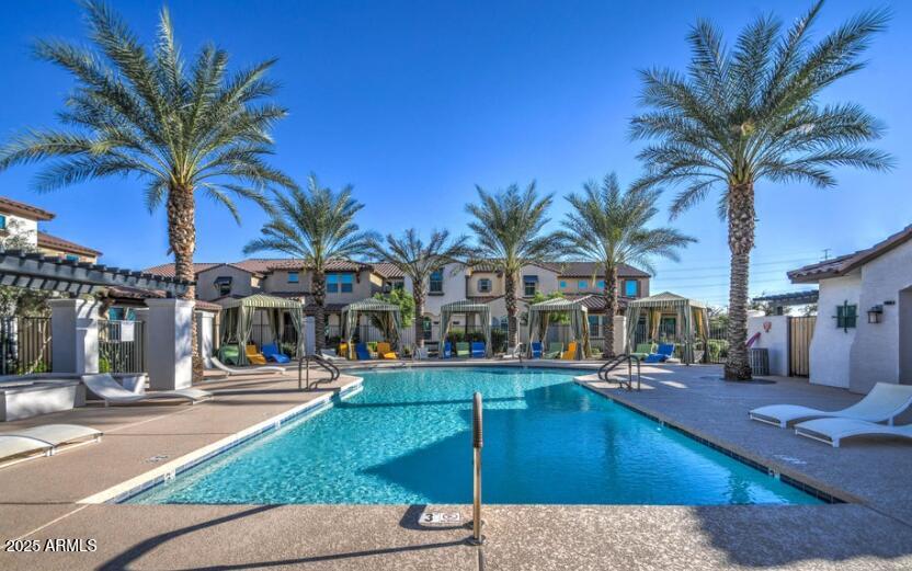 3855 South McQueen Road, Unit 73 Chandler, AZ 85286 - Photo 1 of 24 a view of a swimming pool with palm trees