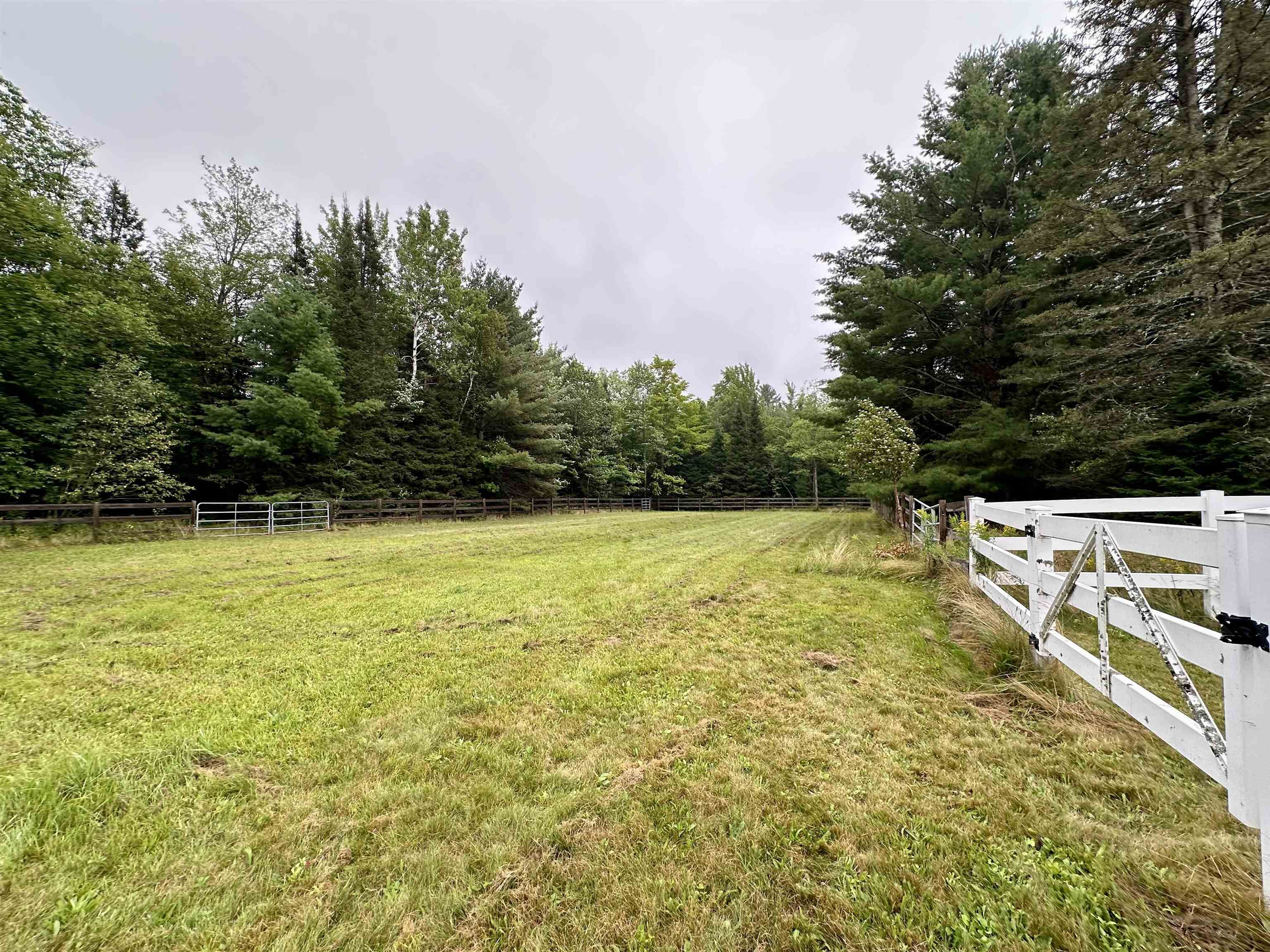 545 North County Road Skandia, MI 49885 - Photo 50 of 80