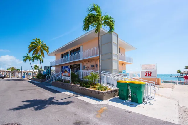 a view of a park with entertaining space