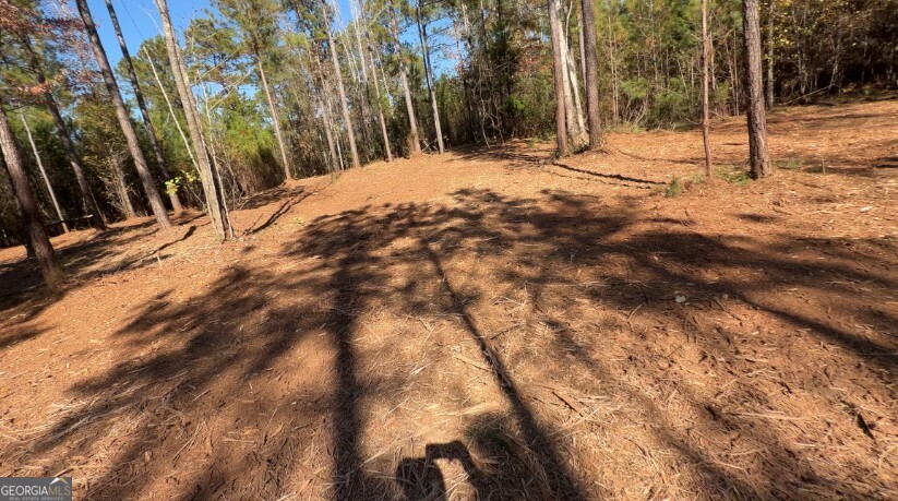 a view of a backyard of the house