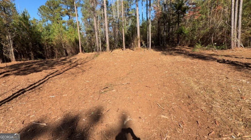 Tract B Russellville Road Forsyth, GA 31029 - Photo 2 of 4 a view of a backyard of the house