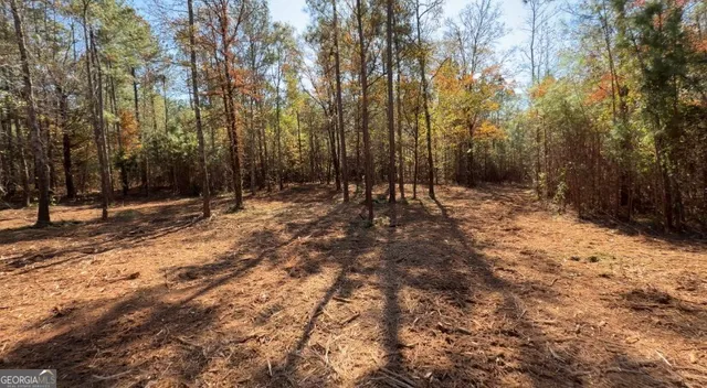 a view of outdoor space with trees
