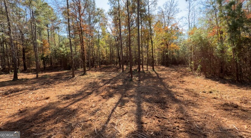 Tract B Russellville Road Forsyth, GA 31029 - Photo 3 of 4 a view of outdoor space with trees