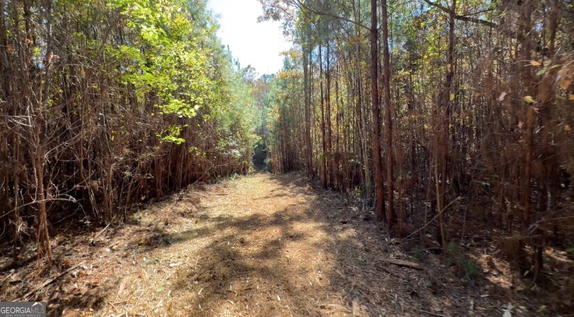 Tract B Russellville Road Forsyth, GA 31029 - Photo 4 of 4 a view of a backyard with trees
