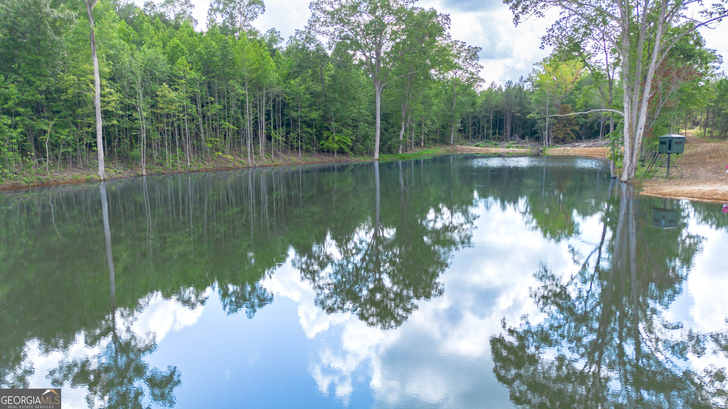0 Vineyard Fruithurst, AL 36262 - Photo 10 of 21