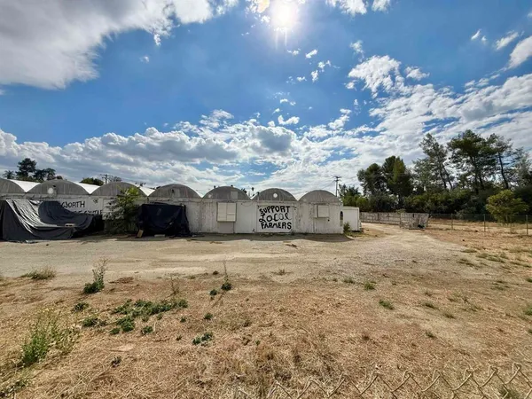 a view of a dry yard with houses