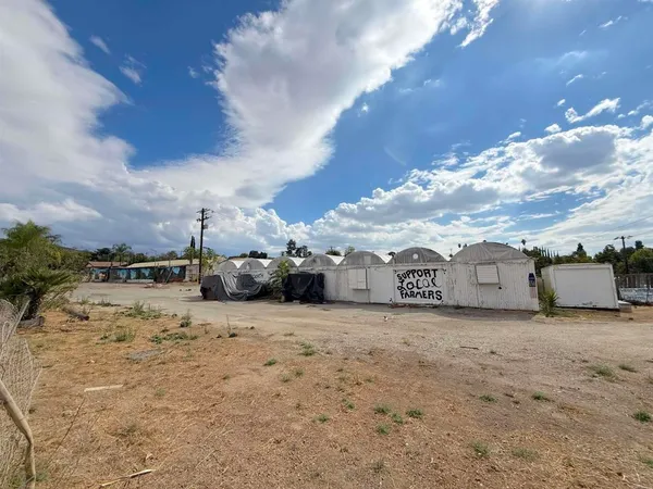 a view of a dry yard with trees in the background