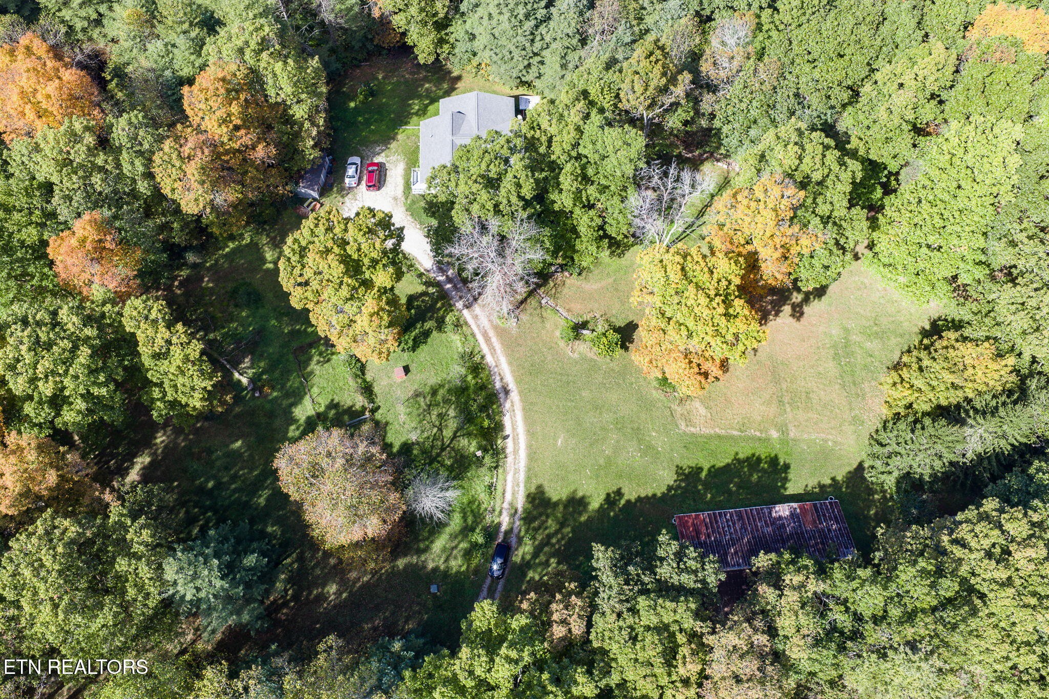 614 West Creston Road Crossville, TN 38571 - Photo 3 of 47 a plant that is in a garden