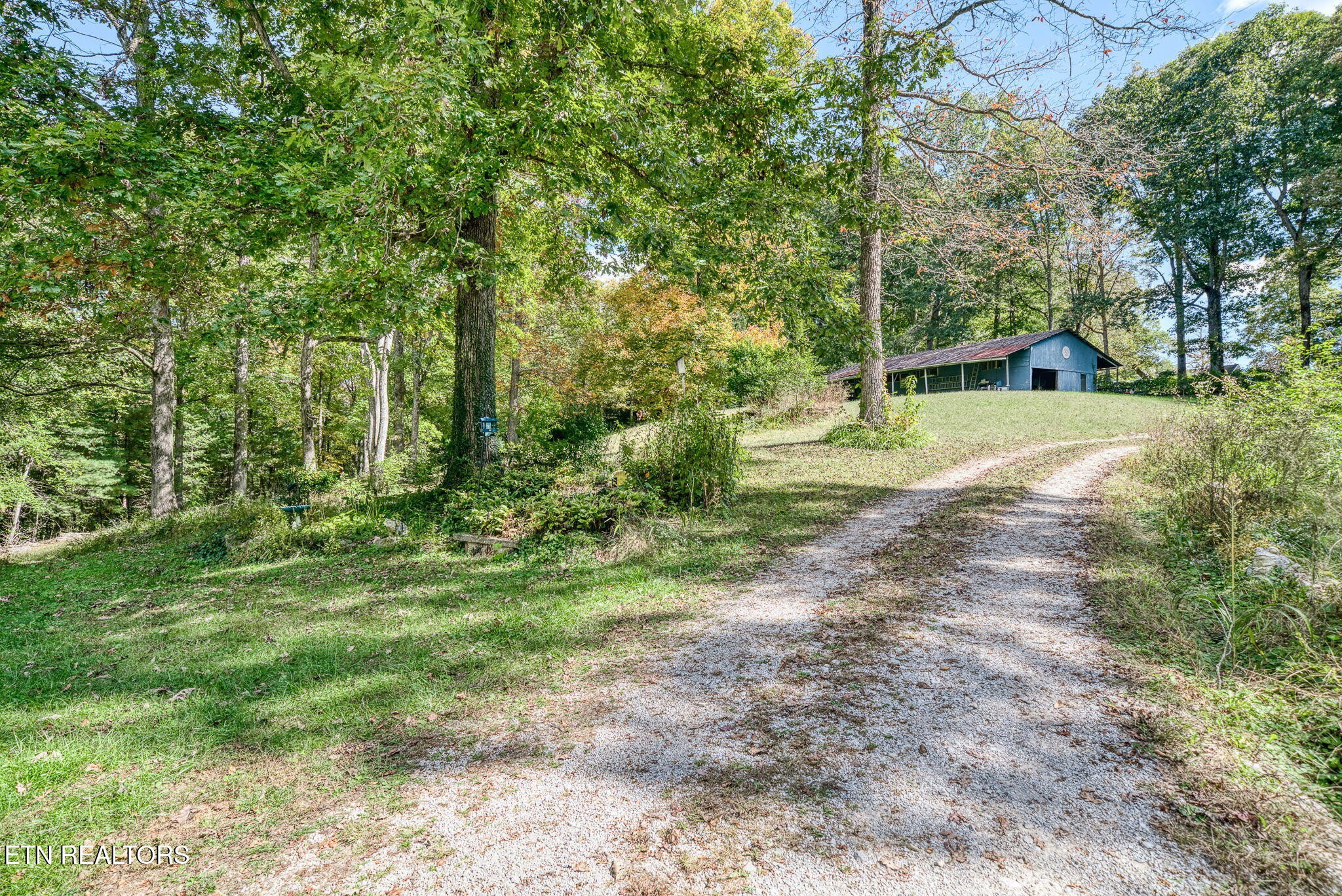 614 West Creston Road Crossville, TN 38571 - Photo 33 of 47 a view of a yard with plants and trees