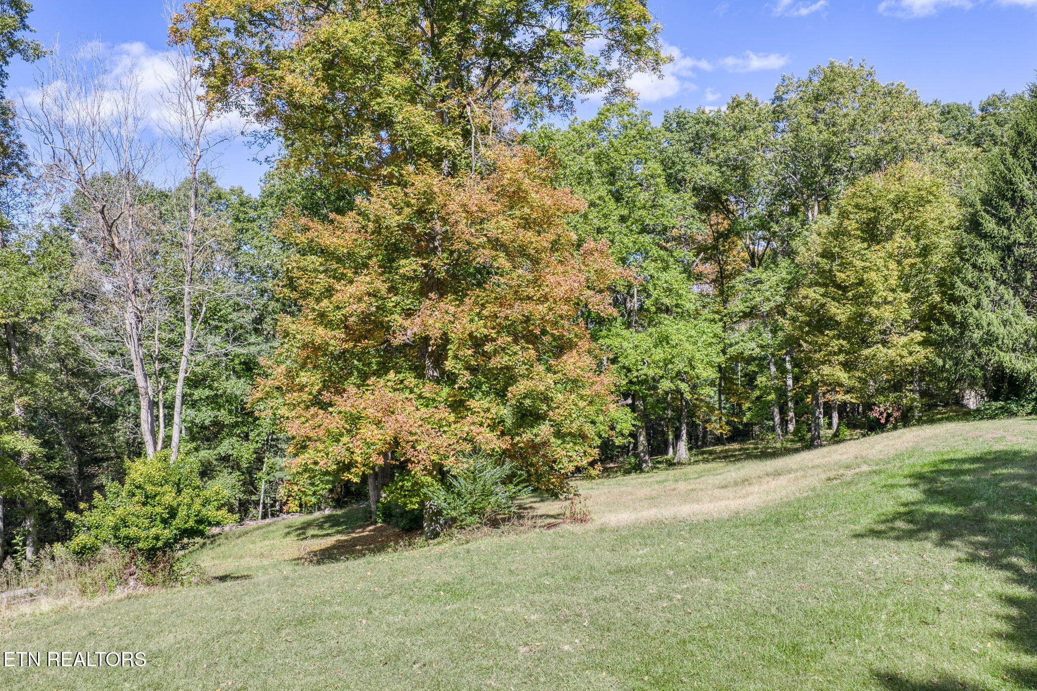 614 West Creston Road Crossville, TN 38571 - Photo 39 of 47 a view of a field with plants and trees