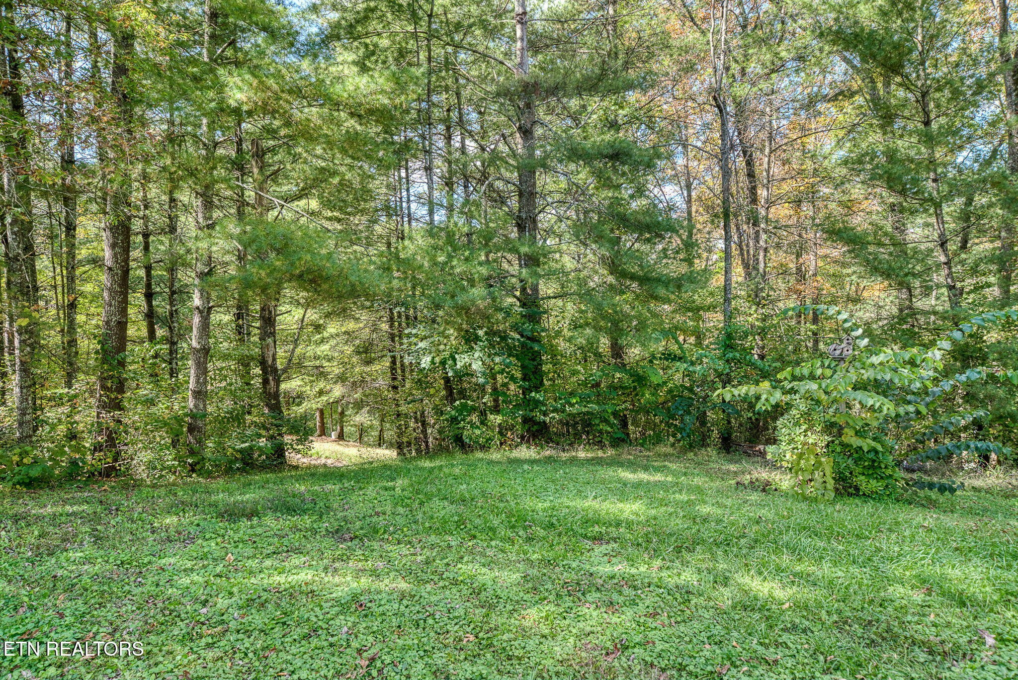 614 West Creston Road Crossville, TN 38571 - Photo 41 of 47 a view of a yard with a trees