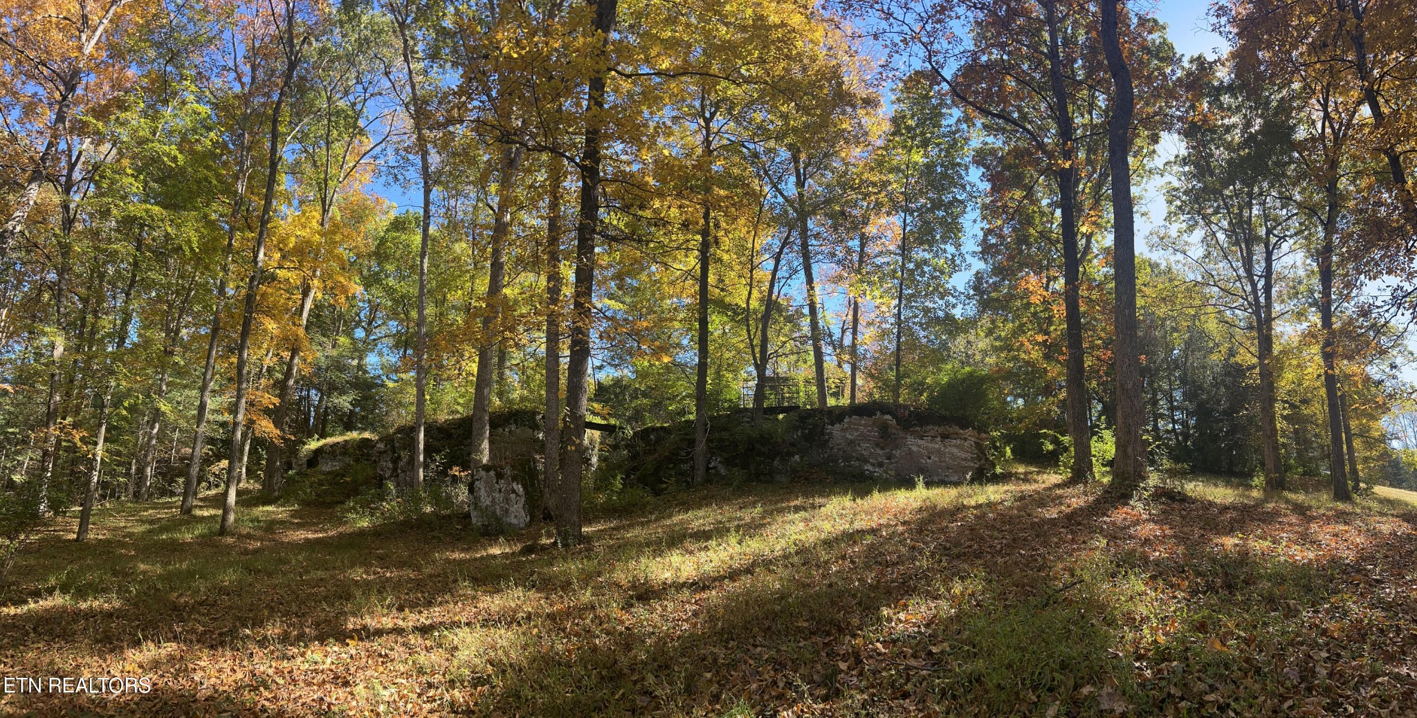 614 West Creston Road Crossville, TN 38571 - Photo 46 of 47 a backyard of a house with lots of green space