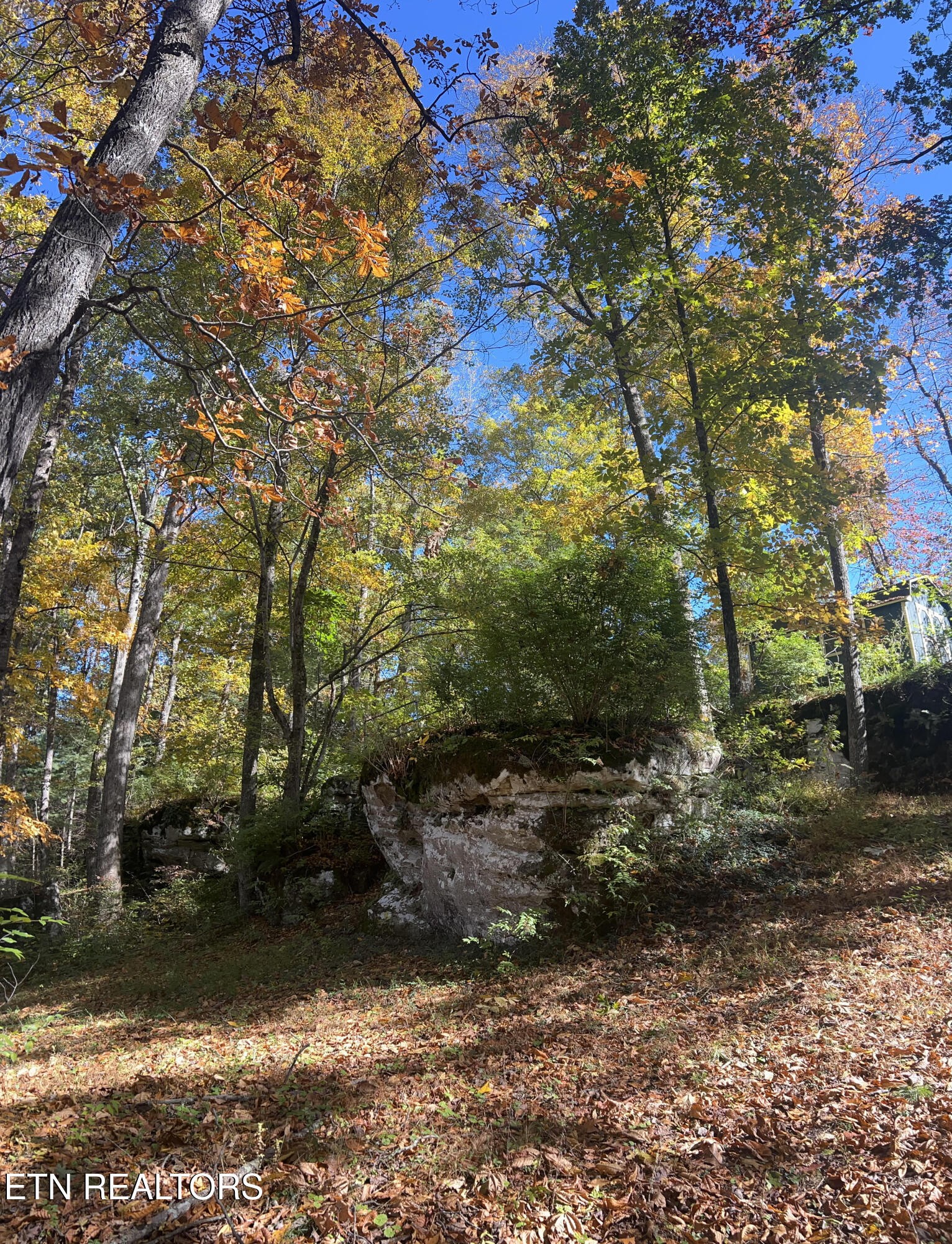 614 West Creston Road Crossville, TN 38571 - Photo 47 of 47 a view of backyard with green space
