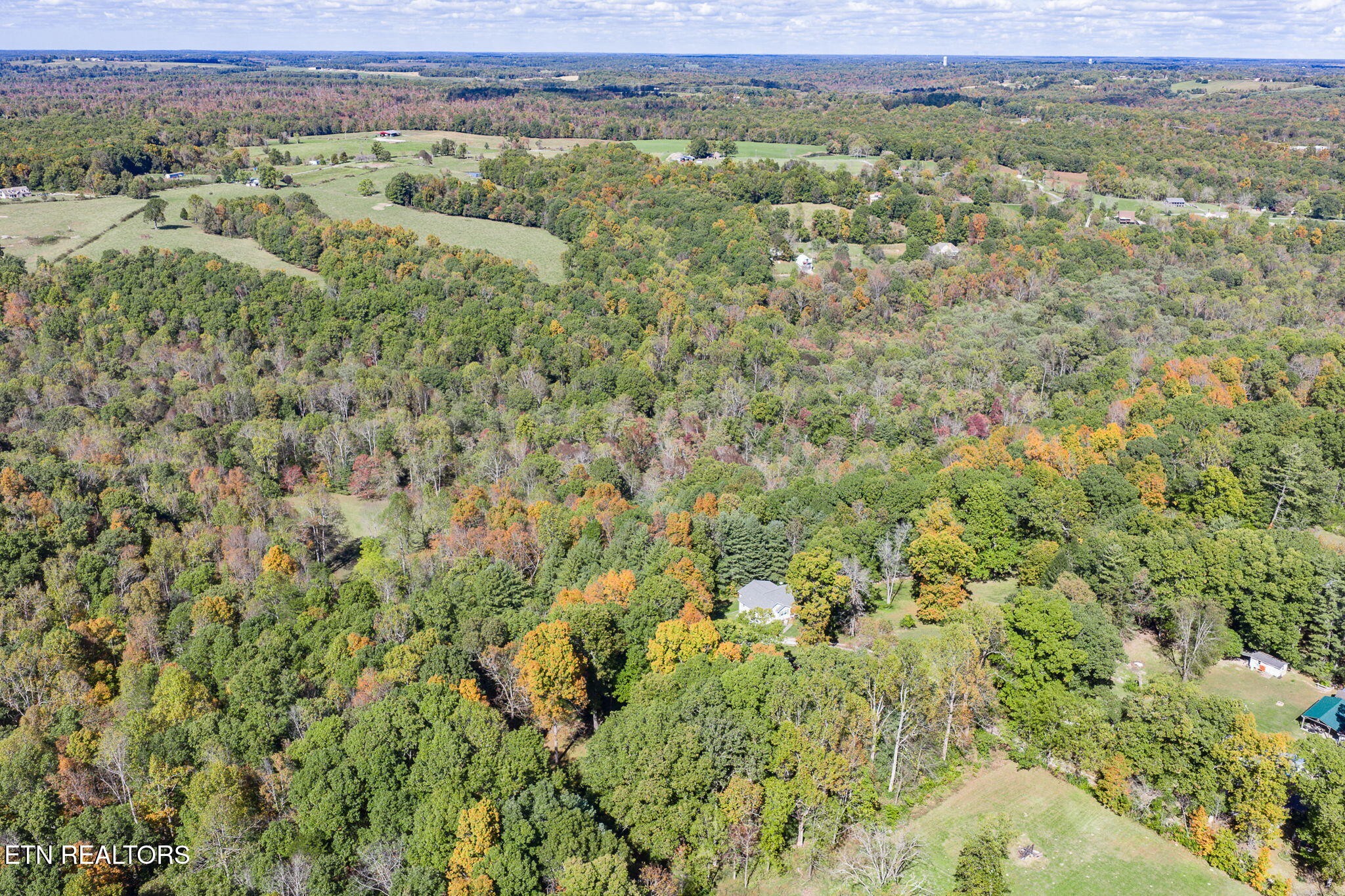 614 West Creston Road Crossville, TN 38571 - Photo 5 of 47 a view of a forest with an outdoor space