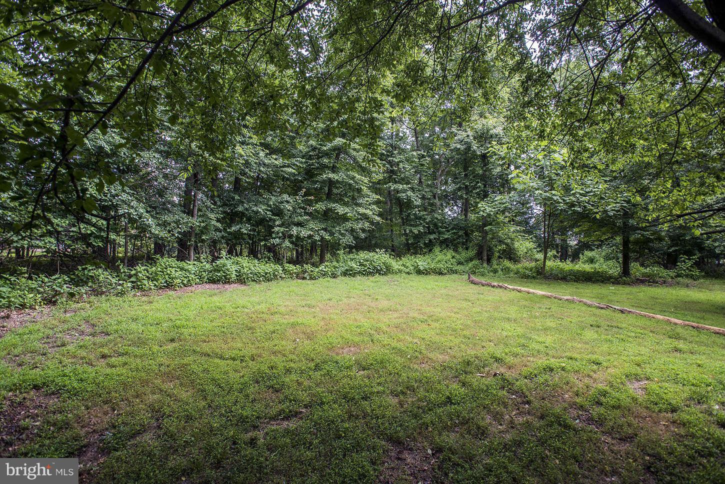 3033 Daisy Road Woodbine, MD 21797 - Photo 26 of 27 Tree Line Views on Secluded Lot