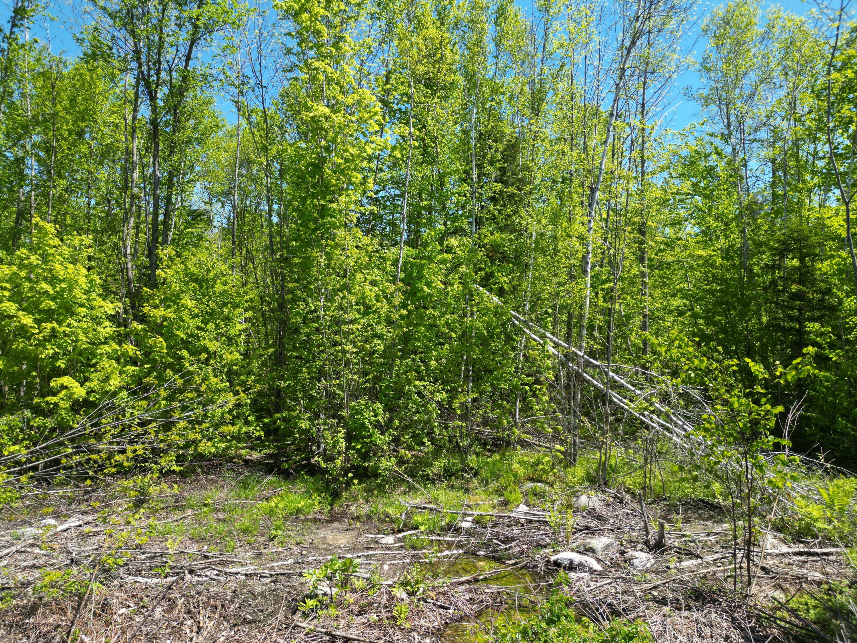 Lot 7 West Road Belgrade, ME 04917 - Photo 13 of 15 DJI_0053