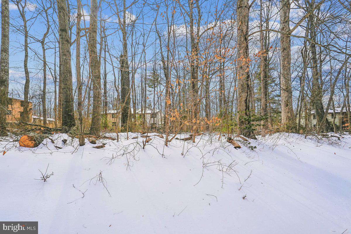 2315 Emerald Heights Court Reston, VA 20191 - Photo 10 of 36 BACKS TO TREES!!!