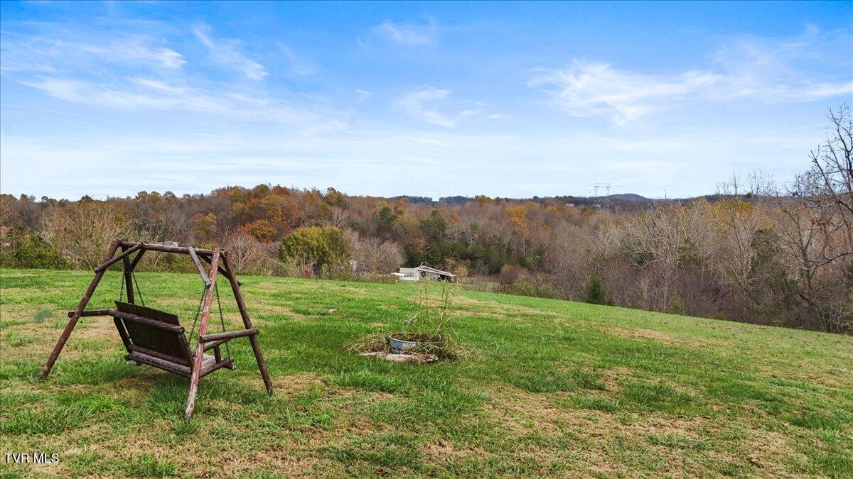 5929 Stardust Road Kingsport, TN 37660 - Photo 55 of 74 IMG_4114