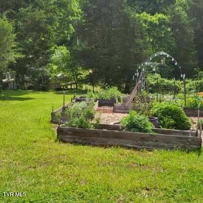 5929 Stardust Road Kingsport, TN 37660 - Photo 64 of 74 Resized_20230517_102900_1730064967936