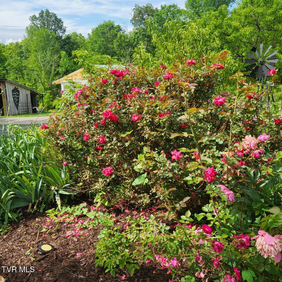 5929 Stardust Road Kingsport, TN 37660 - Photo 65 of 74 Resized_20230517_103100_1730064895636
