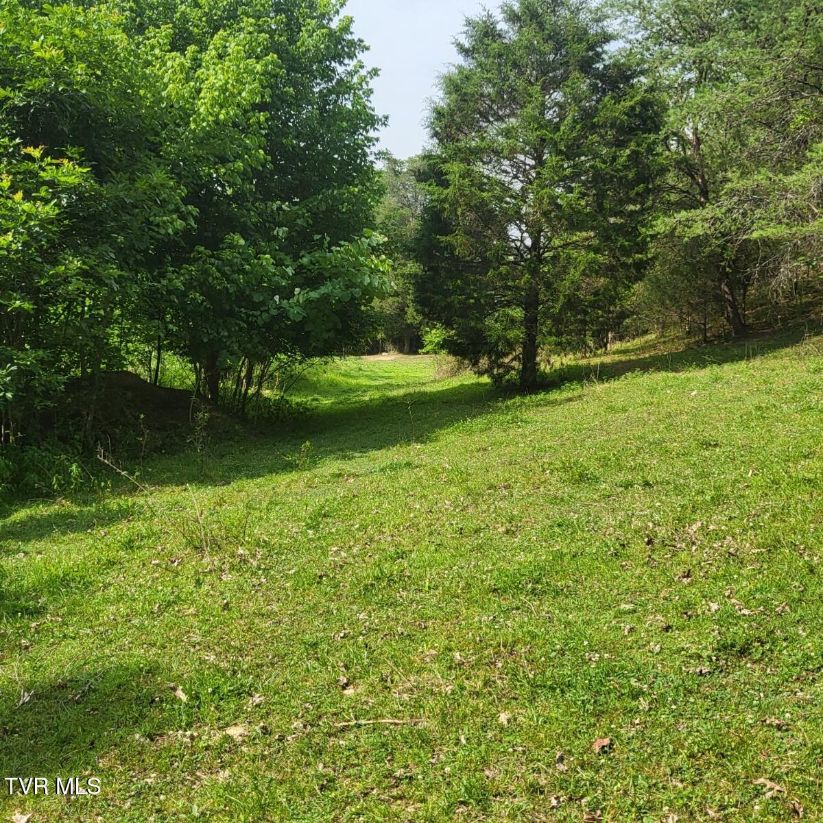 5929 Stardust Road Kingsport, TN 37660 - Photo 68 of 74 Resized_20240623_171355_1732147136458