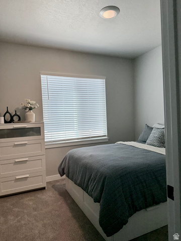315 South Sherman Street Mapleton, UT 84664 - Photo 13 of 30 Neutral wall color, recessed ceiling lighting, textured carpet flooring, window with horizontal blinds, and baseboard trim