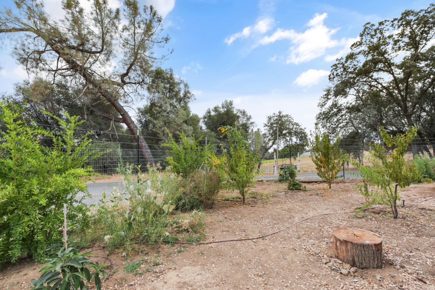 3671 Coon Hollow Road Placerville, CA 95667 - Photo 52 of 57 Gallery Image 52