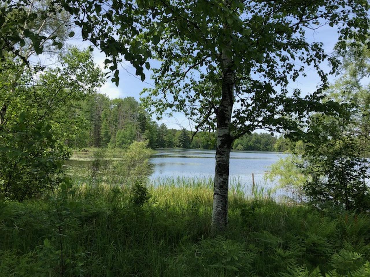 3341 North Faust Lk Road Rhinelander, WI 54501 - Photo 2 of 25 Gallery Image 2