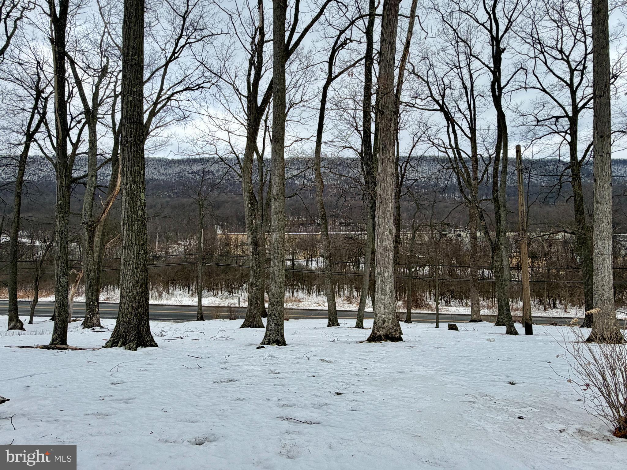624 Raystown Road Everett, PA 15537 - Photo 6 of 30 a view of park with trees