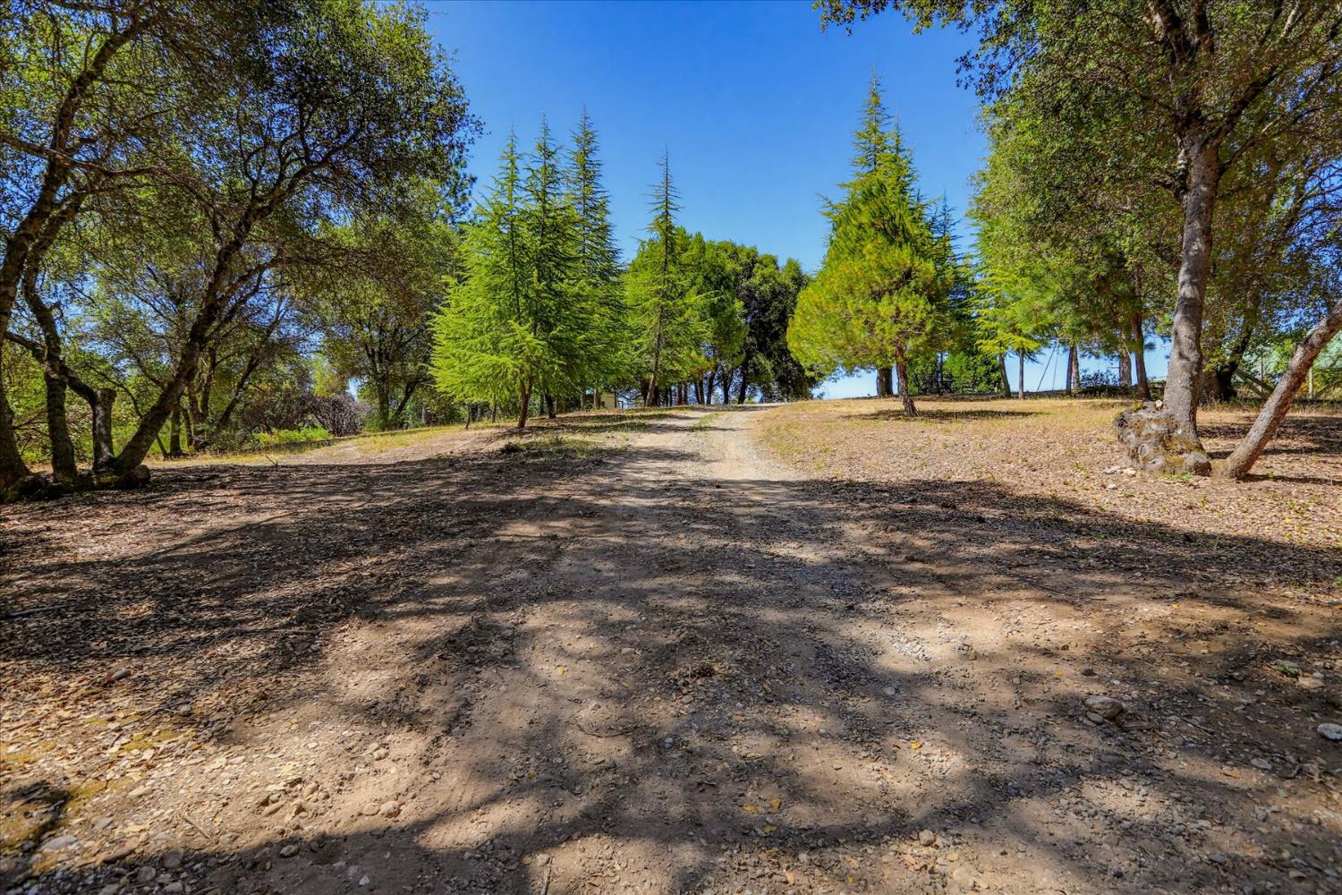 21748 Hyatt Road Nevada City, CA 95959 - Photo 78 of 83