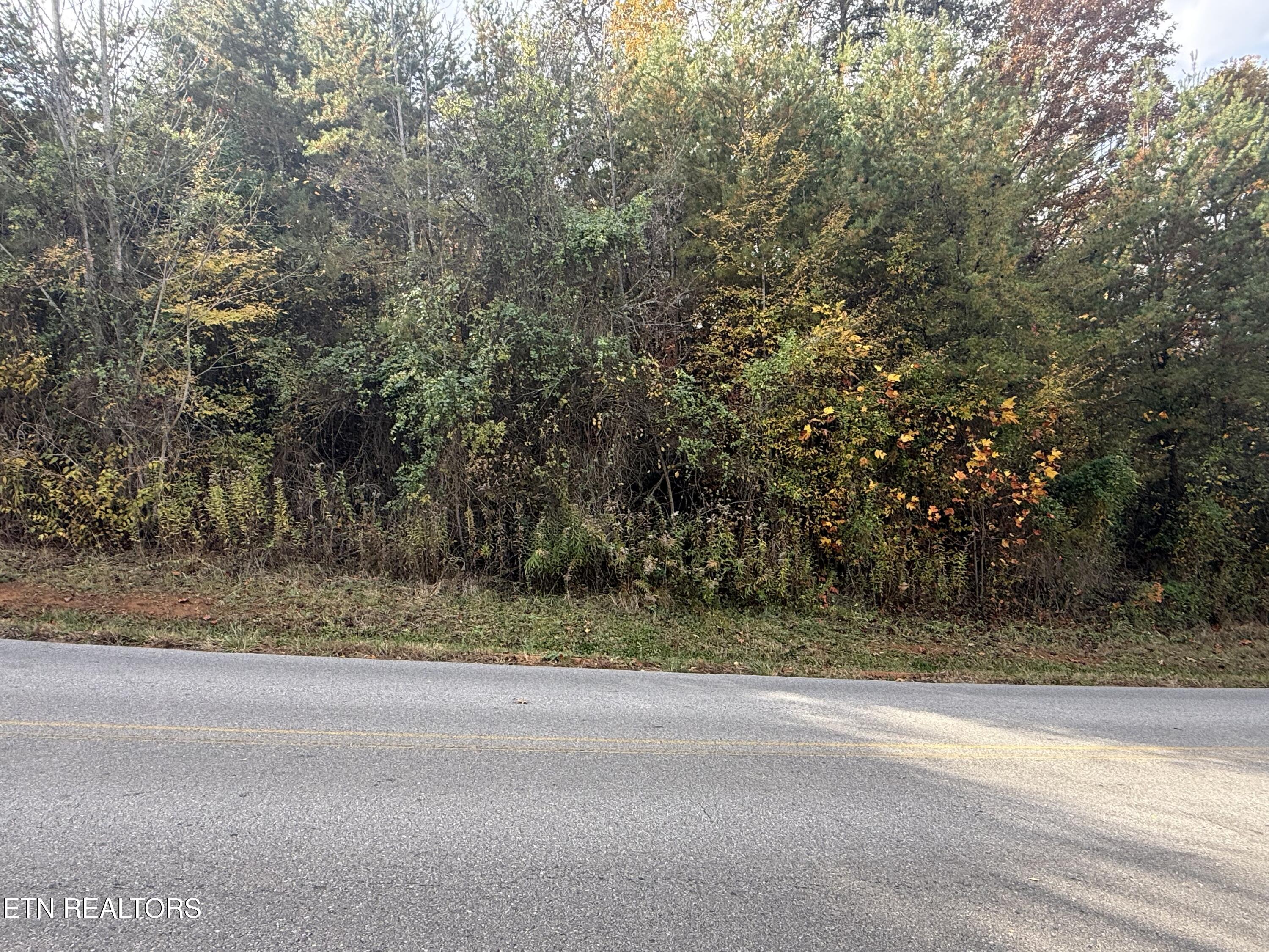 Nina Delozier Road Maryville, TN 37804 - Photo 11 of 29 IMG_8303