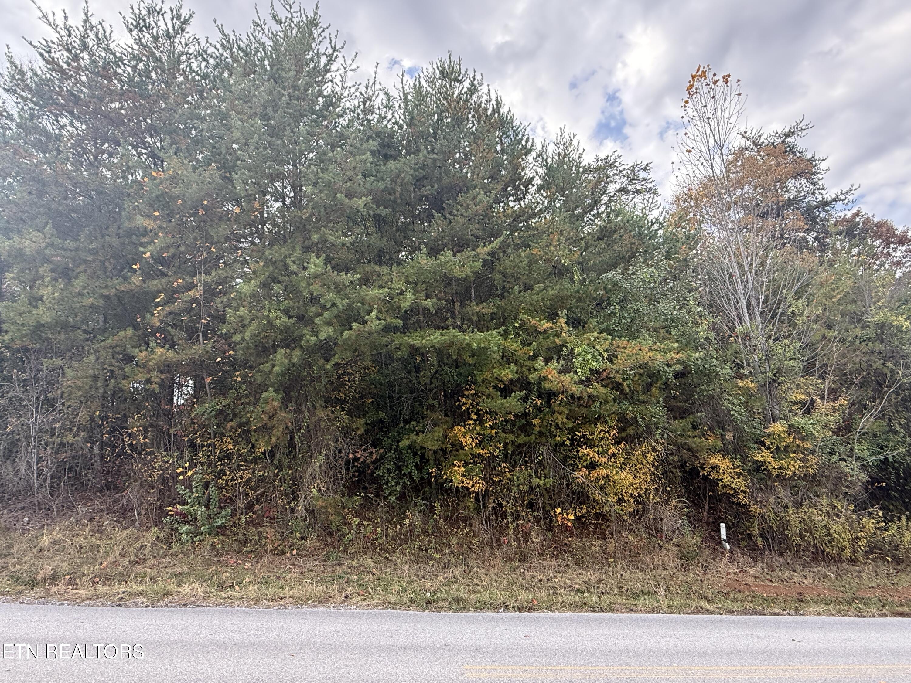 Nina Delozier Road Maryville, TN 37804 - Photo 14 of 29 IMG_8300