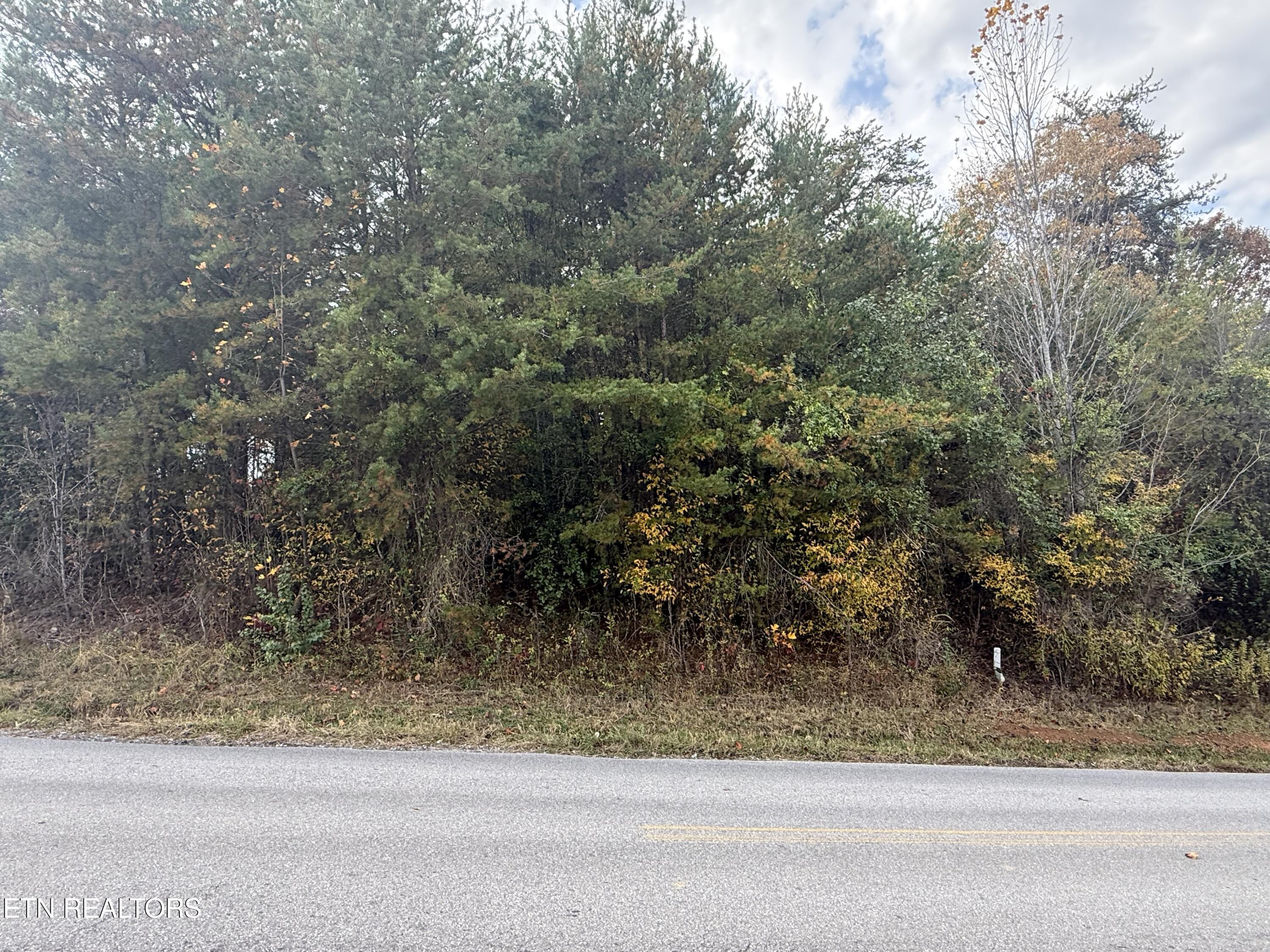 Nina Delozier Road Maryville, TN 37804 - Photo 15 of 29 IMG_8299