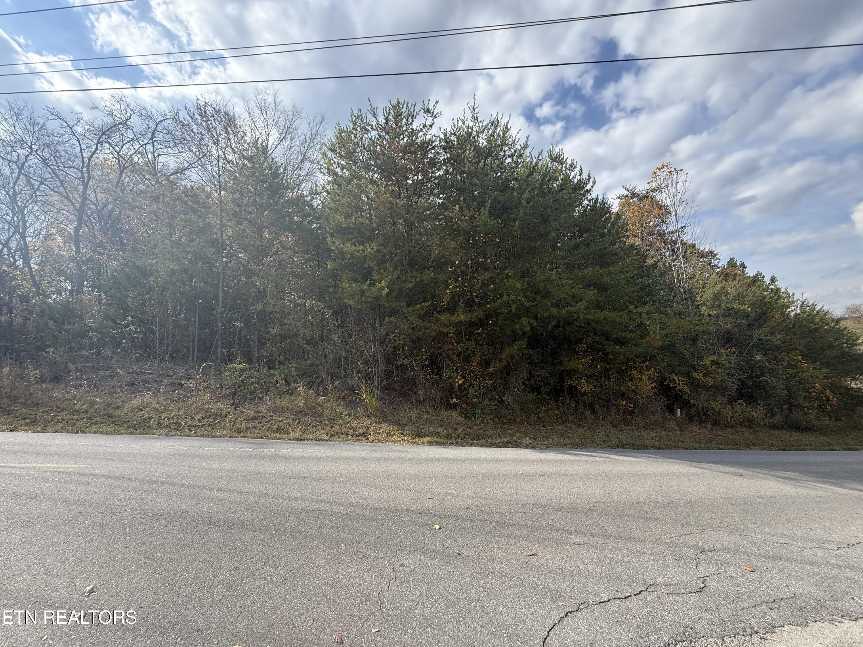 Nina Delozier Road Maryville, TN 37804 - Photo 19 of 29 IMG_8295