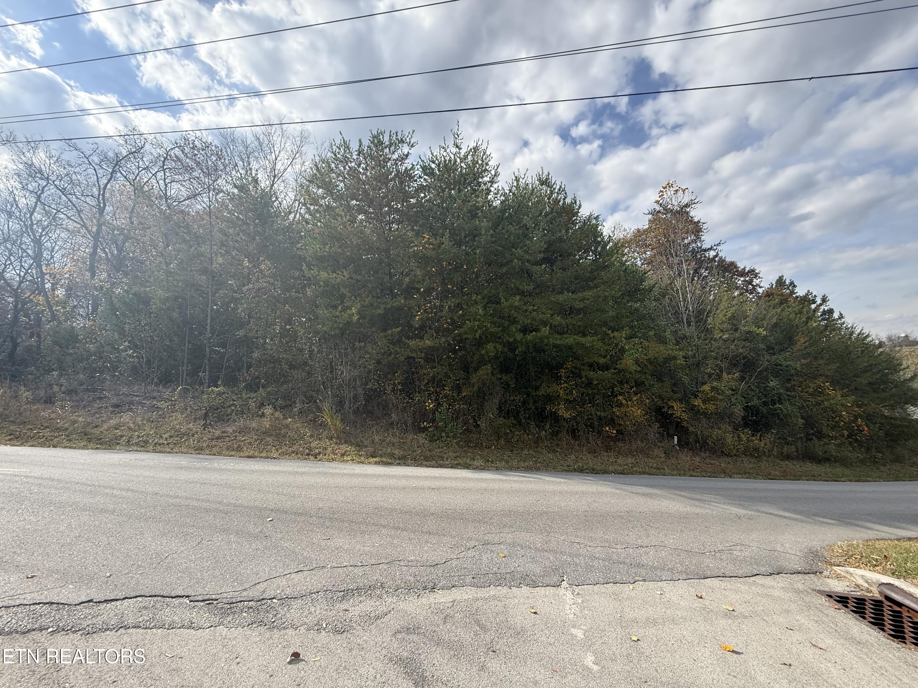 Nina Delozier Road Maryville, TN 37804 - Photo 21 of 29 IMG_8293